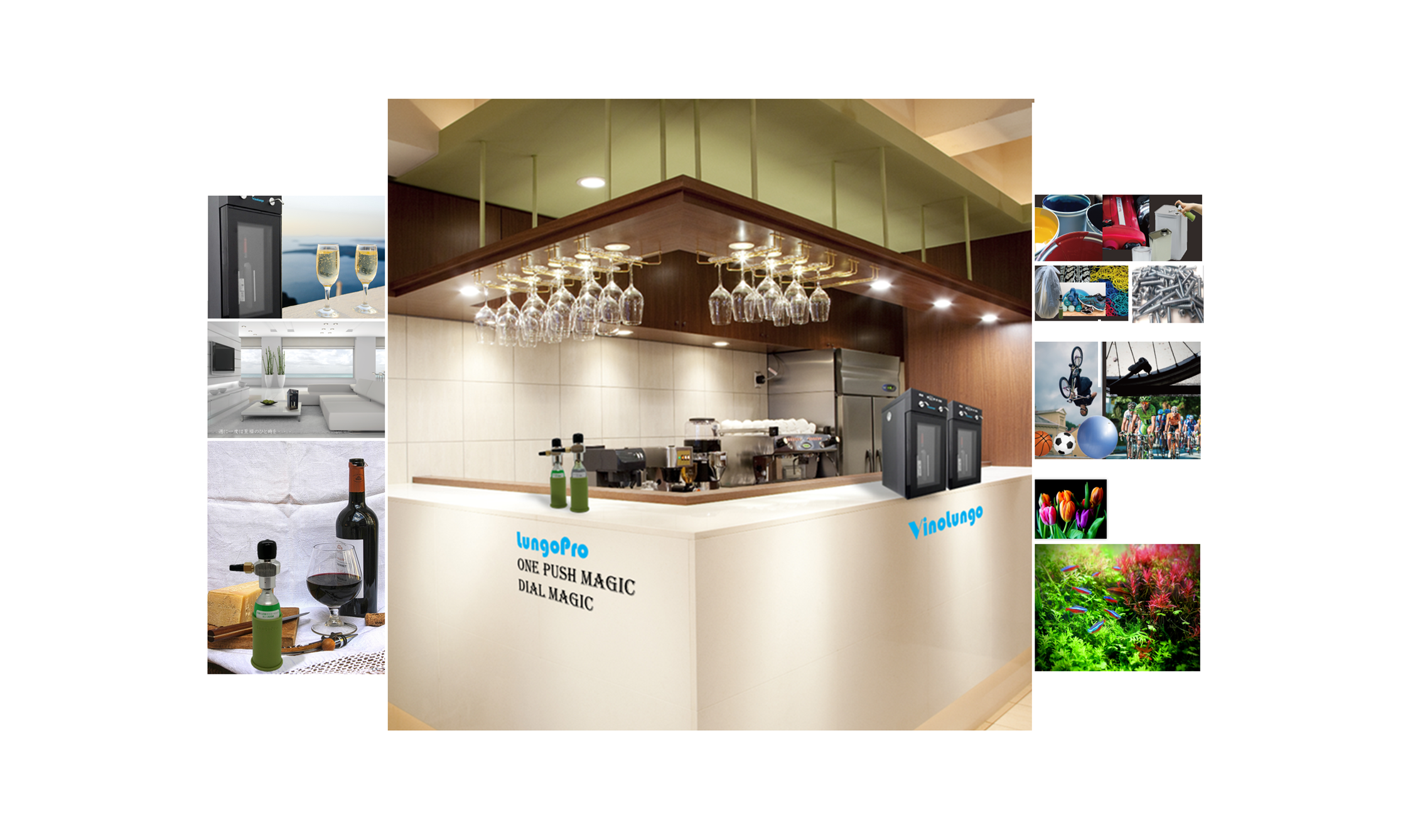 抗酸化システムのECサイト | 抗酸化システム